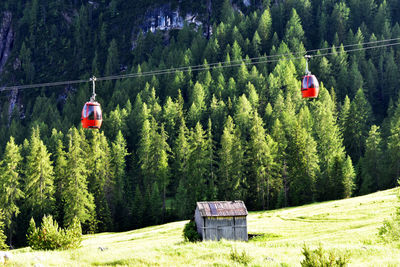 Overhead cable car in forest