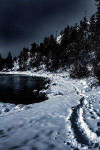 Scenic view of snow covered land and trees against sky