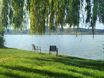 Scenic view of lake by trees