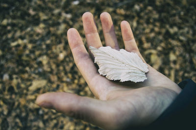 High angle view of human hand