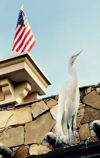 Low angle view of bird perching on built structure against sky