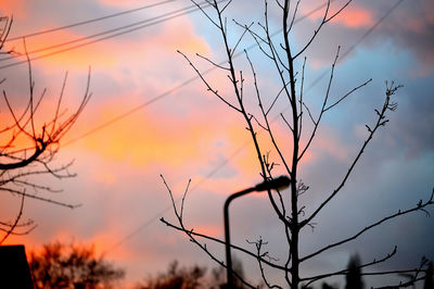 Close-up of silhouette tree against sky at sunset