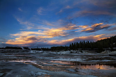 Yellowstone's geysers and thermal vents