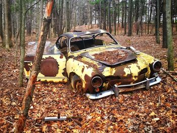 Damaged car in forest during autumn