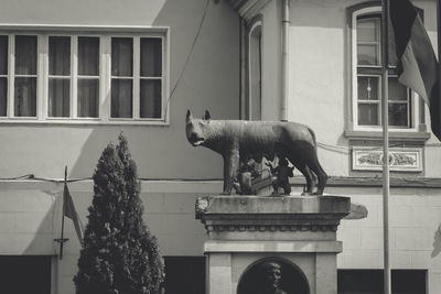 Statue of horse in front of building