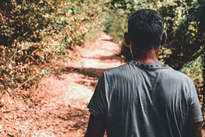 Rear view of man standing on field in forest