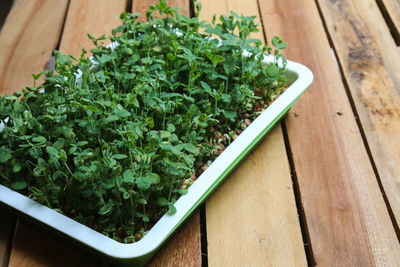 High angle view of chopped vegetables on table