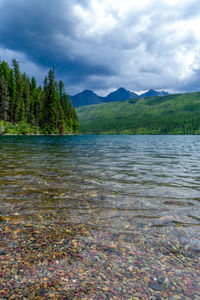Scenic view of lake by trees against sky
