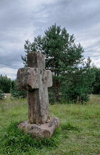 View of tree on landscape against sky