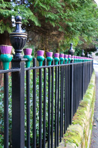 Tree trunk on a wall