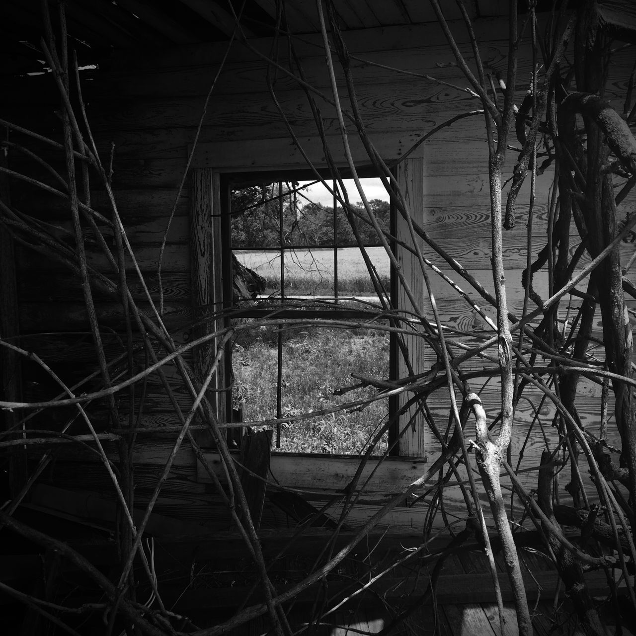 built structure, architecture, abandoned, indoors, damaged, metal, obsolete, low angle view, run-down, deterioration, window, building exterior, old, building, broken, no people, metallic, glass - material, day, ceiling