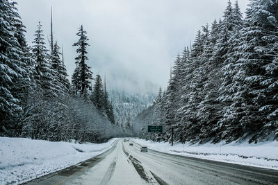 Snow covered trees against sky