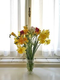 Close-up of flower pot on window sill