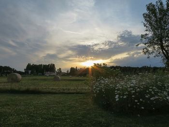 Scenic view of grassy field against sky at sunset