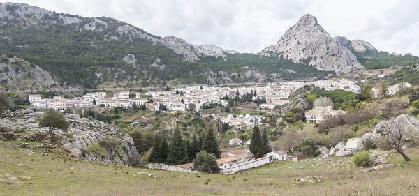 mountain