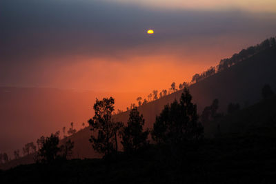 Silhouette trees against sky during sunset