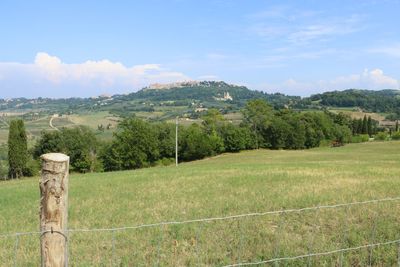 Scenic view of trees on field against sky