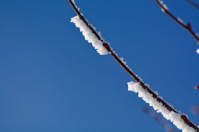 Low angle view of vapor trail against blue sky