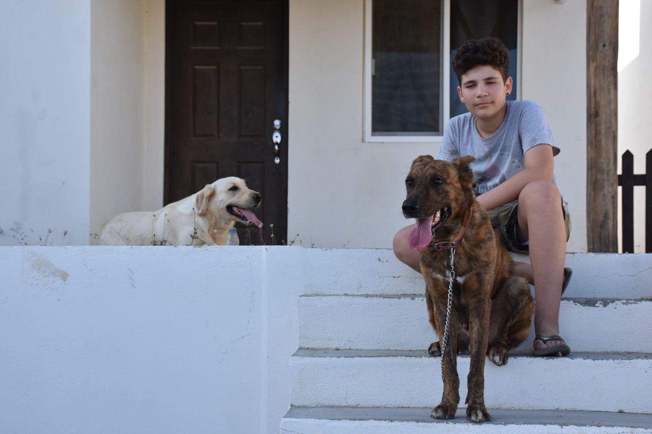 YOUNG WOMAN WITH DOG SITTING ON STEPS OUTDOORS