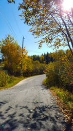 Road amidst trees against clear sky