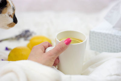 Close-up of hand holding cup