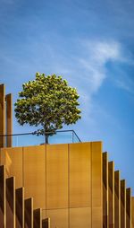 Tree growing on top of an office building in the city.