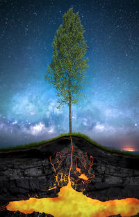 Scenic view of tree against sky at night