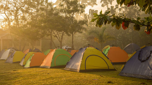 Tent on field by trees in park