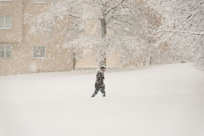 Person on snow covered tree