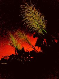 Low angle view of firework display at night