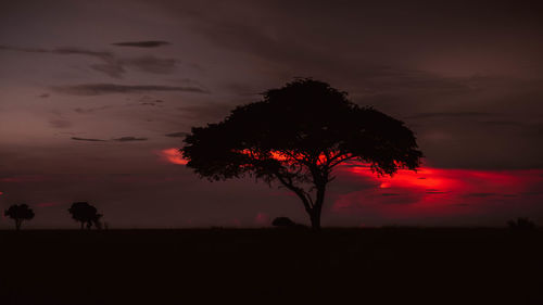 Silhouette tree against sky during sunset