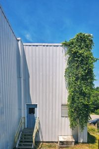 Metal structure covered with vine against blue sky