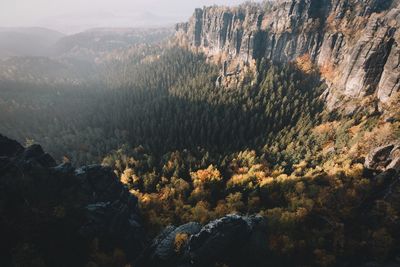 High angle view of trees on mountain