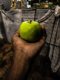 Close-up of hand holding apple
