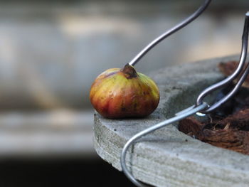 Close-up of figs on table