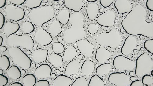 Full frame shot of abstract pattern