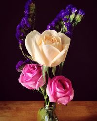 Close-up of pink flower in vase