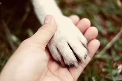 Close-up of person holding hand