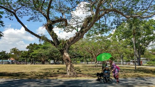 People walking on footpath in park