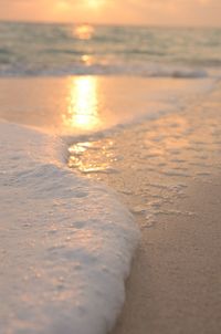 Close-up of beach against sky during sunset