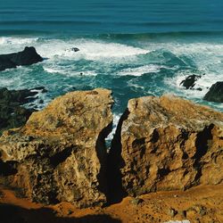 Scenic view of sea shore