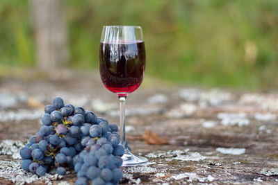 Close-up of grapes in glass