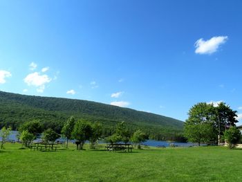 Scenic view of field against blue sky