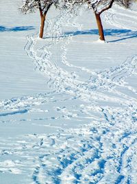 Snow covered landscape