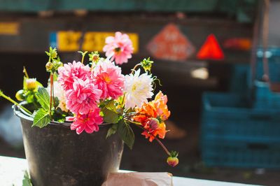 Close-up of flowers