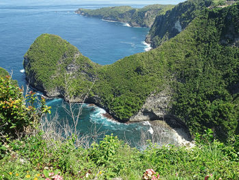 High angle view of sea and trees