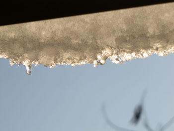 Close-up of frozen water against clear sky