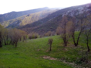 Scenic view of agricultural field by mountains against sky