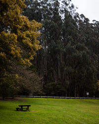 Park bench on field