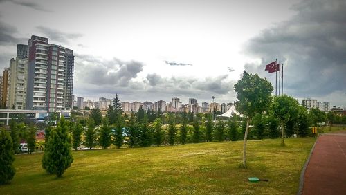 Trees on field against cloudy sky